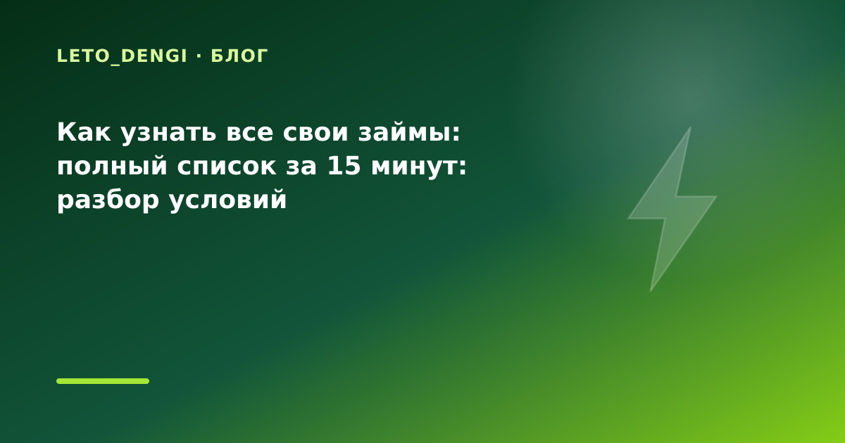 Как узнать все свои займы: полный список за 15 минут: разбор условий — иллюстрация Leto Dengi